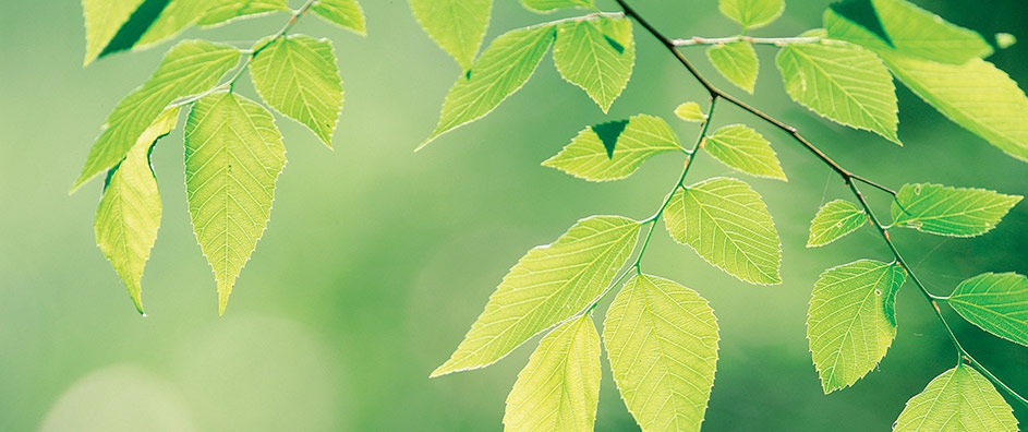 And a New Day to You, Too