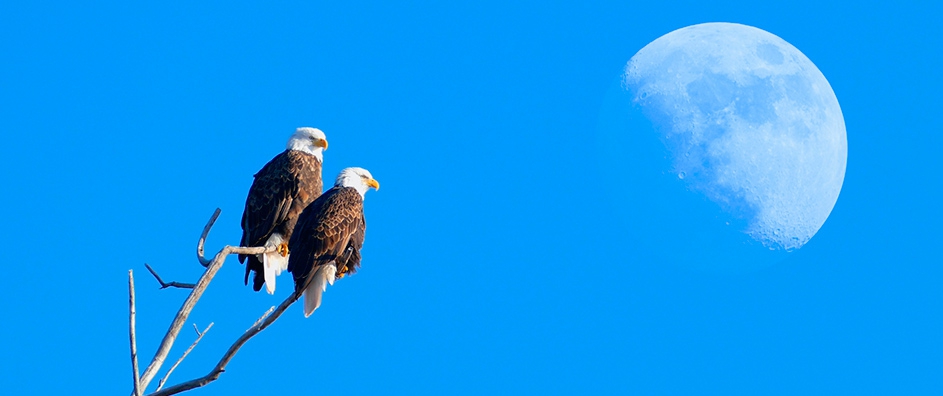 Comparing the Teachings of Two Peacemakers