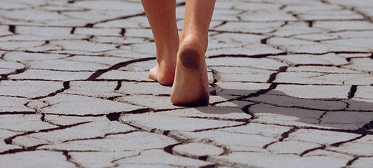 The Faith-Climate Connection