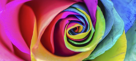 Baha’is and Miracles