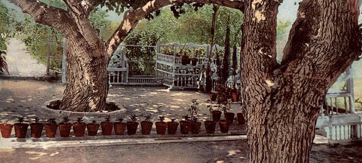 Ridvan – The Holiest Day for the Baha’is