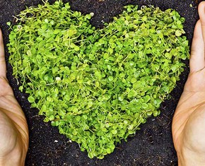 Climate Adaptation: A Hunger for Consensus