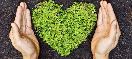 Climate Adaptation: A Hunger for Consensus