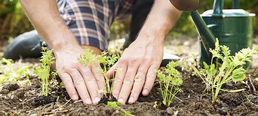 Man, Organic with the World