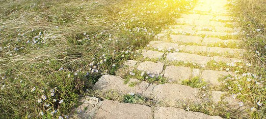 Faith, Both Successive and Progressive