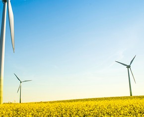 Can We Adapt to a Changed Climate?