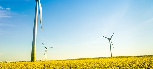 Can We Adapt to a Changed Climate?