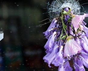 Men and Women and Murdered Sleep