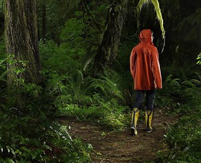 Exploring the Confusing Forest of Faiths