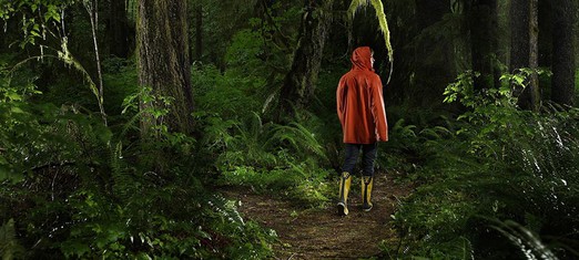 Exploring the Confusing Forest of Faiths