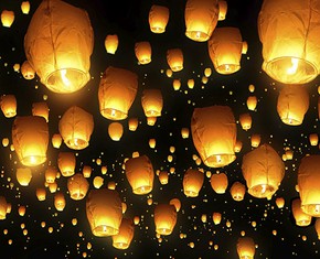 Turning to the Light, No Matter What Lamp