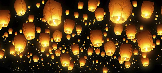 Turning to the Light, No Matter What Lamp