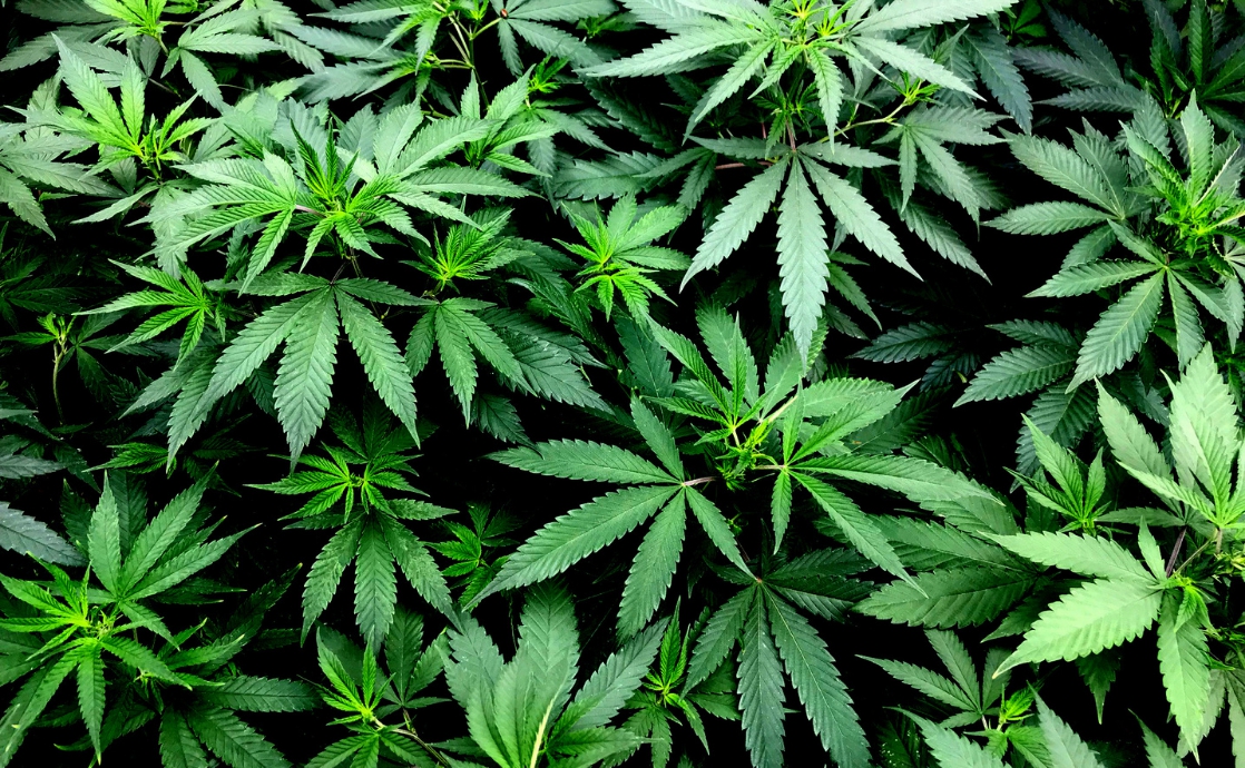 Legalizing Marijuana - How About the Soul?