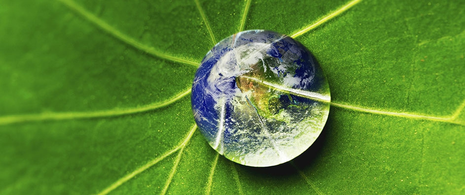 Science Hostility and Three Cardinal Baha’i Educational Principles
