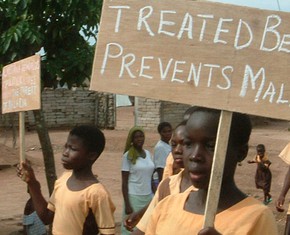 Malaria and the Millennium
