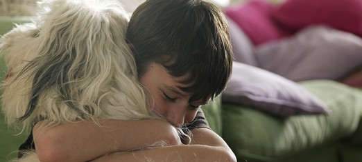 Compassion as Purpose
