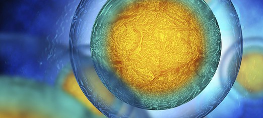 The Human Body and the Body Politic