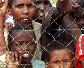Immigration, in the Best of All Possible Worlds