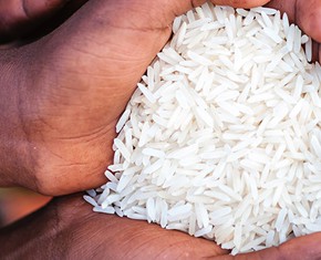 Poverty, Food and the Environment