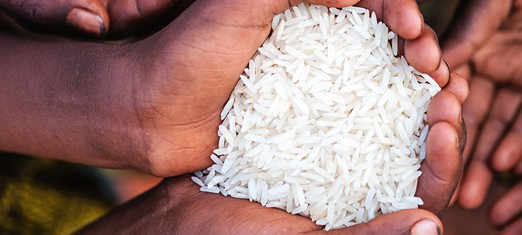 Poverty, Food and the Environment