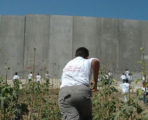 Walls, Gated Communities and the Idea of Citizenship