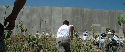 Walls, Gated Communities and the Idea of Citizenship
