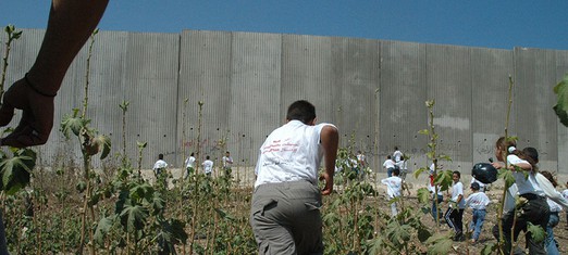 Walls, Gated Communities and the Idea of Citizenship