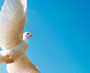 The Prophet, the Abolitionist, the Liberator