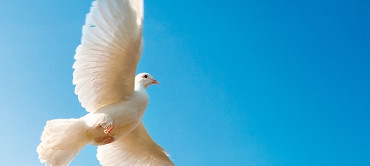 The Prophet, the Abolitionist, the Liberator