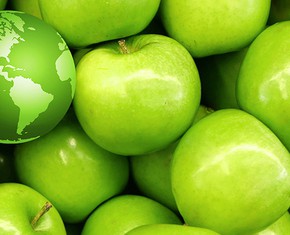 Looking After Your Own Health—As a Service to Humanity