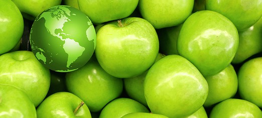 Looking After Your Own Health—As a Service to Humanity