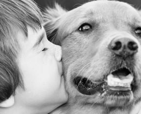 God and Dogs—The Limits of Human Emotion and Understanding
