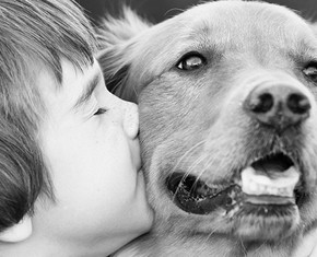 God and Dogs—The Limits of Human Emotion and Understanding
