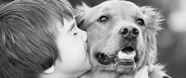 God and Dogs—The Limits of Human Emotion and Understanding