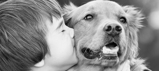 God and Dogs—The Limits of Human Emotion and Understanding