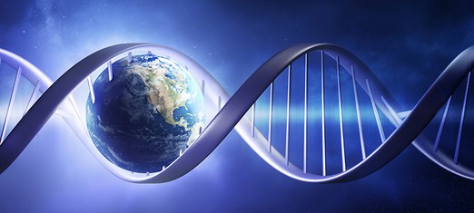 ¿Por qué la ciencia es realidad?
