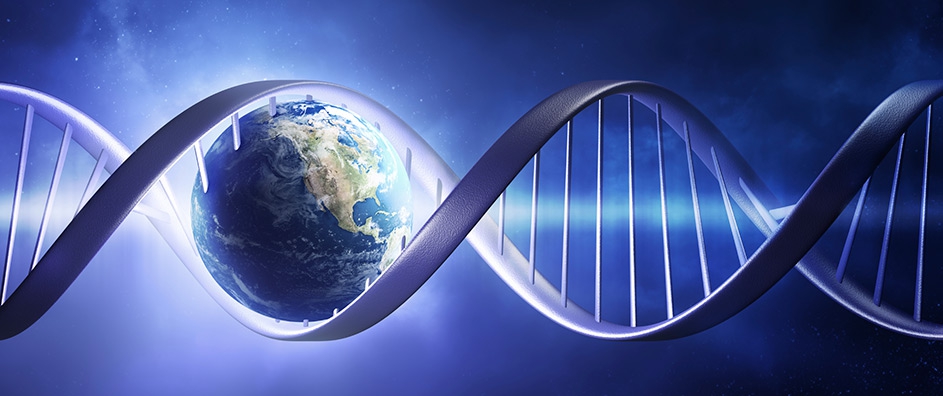 ¿Por qué la ciencia es realidad?