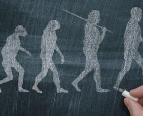Are We Truly Descended from Apes?