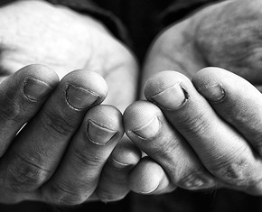 Saved from Starvation—the Master Feeds the Masses