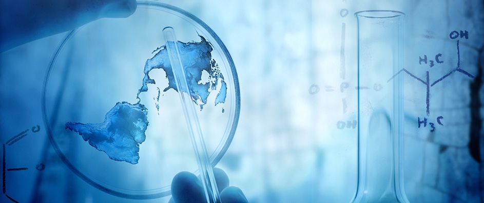 The Harmonic Power of Science and Religion