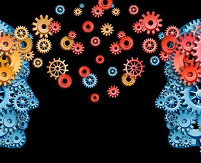 The Architecture of the Altruistic Brain