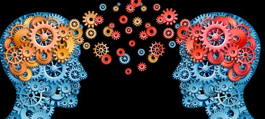 The Architecture of the Altruistic Brain