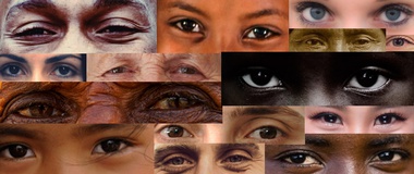 The Eyes Have It: Race and Racism in America