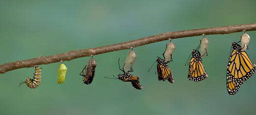 Do Humans Evolve Spiritually, Too?