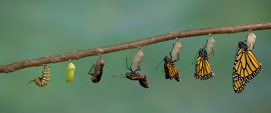 Do Humans Evolve Spiritually, Too?