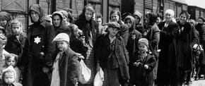 Remembering the Holocaust--and Preventing More of Them