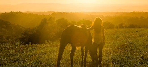 Be Even Kinder to Animals than to Your Fellow Man