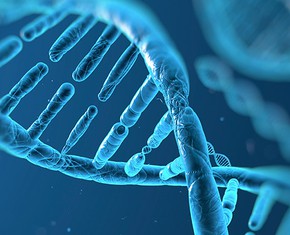 Escaping Our DNA and Searching for True Freedom
