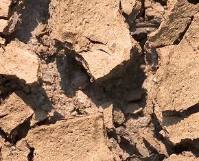 Famine, Drought and Hunger: The Mystical Implications
