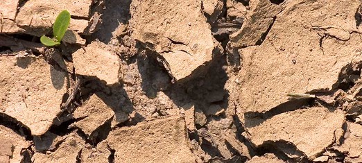 Famine, Drought and Hunger: The Mystical Implications